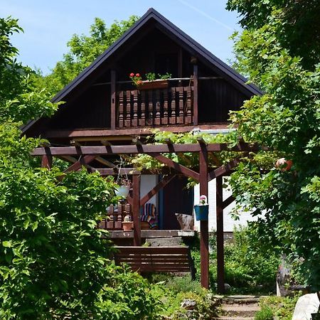 Na Okic - A Private Forest Oasis Sveti Martin pod Okicem Buitenkant foto