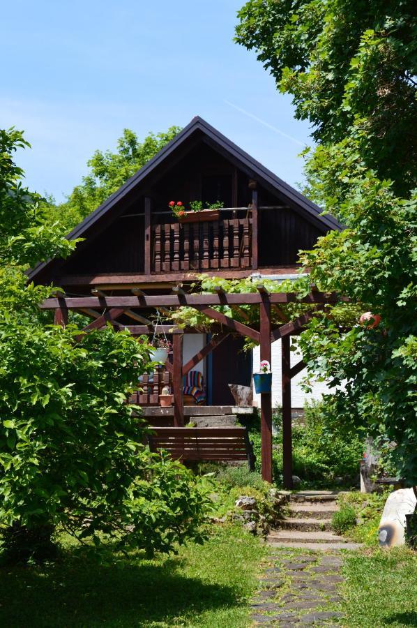 Na Okic - A Private Forest Oasis Sveti Martin pod Okicem Buitenkant foto