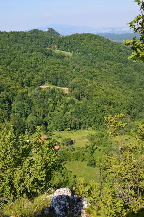 Na Okic - A Private Forest Oasis Sveti Martin pod Okicem Buitenkant foto