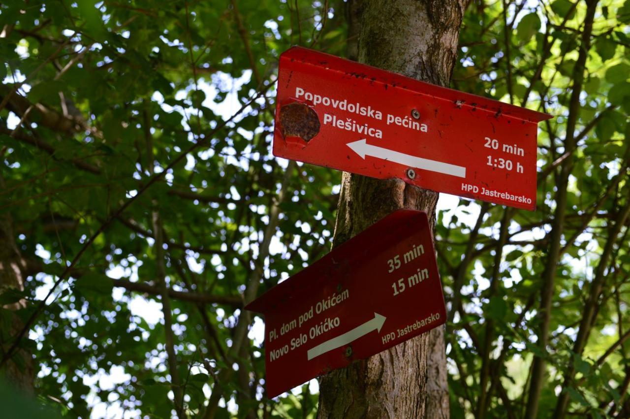 Na Okic - A Private Forest Oasis Sveti Martin pod Okicem Buitenkant foto