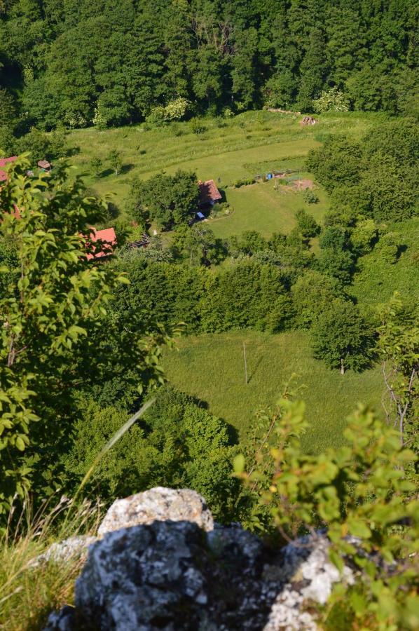 Na Okic - A Private Forest Oasis Sveti Martin pod Okicem Buitenkant foto