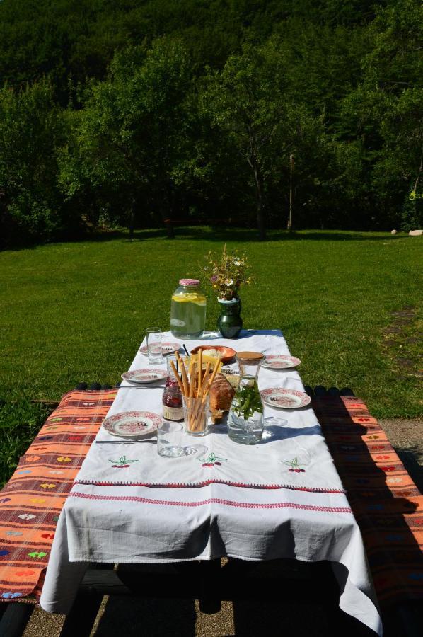 Na Okic - A Private Forest Oasis Sveti Martin pod Okicem Buitenkant foto