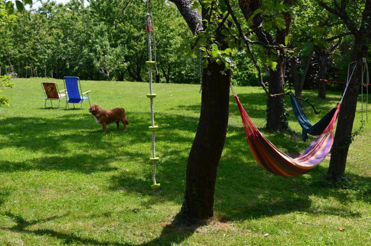 Na Okic - A Private Forest Oasis Sveti Martin pod Okicem Buitenkant foto