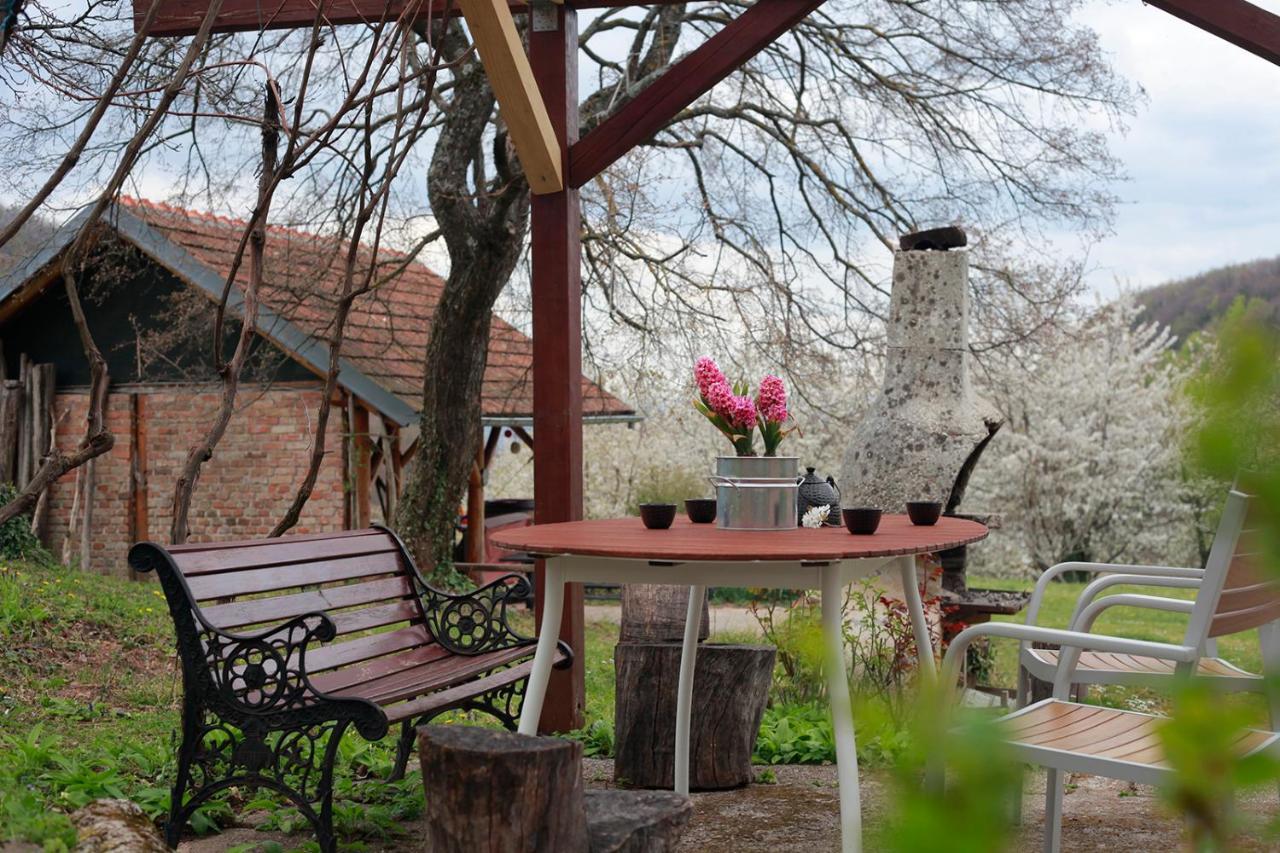 Na Okic - A Private Forest Oasis Sveti Martin pod Okicem Buitenkant foto