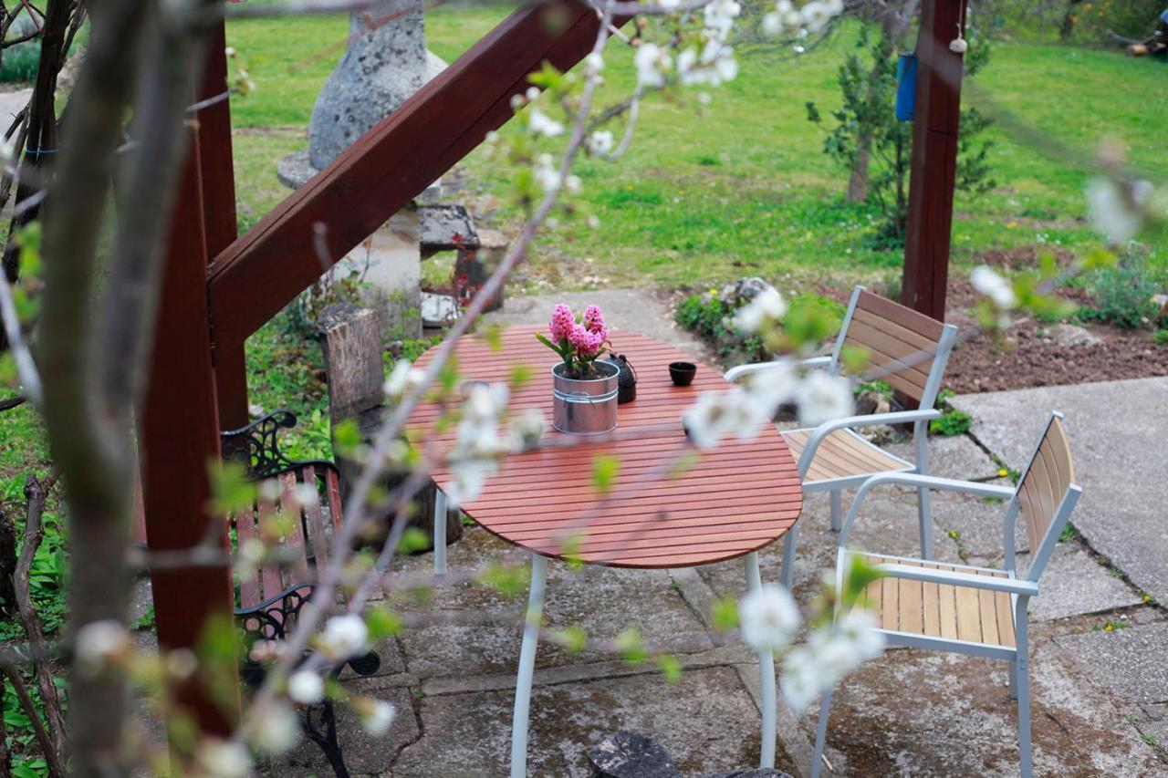 Na Okic - A Private Forest Oasis Sveti Martin pod Okicem Buitenkant foto