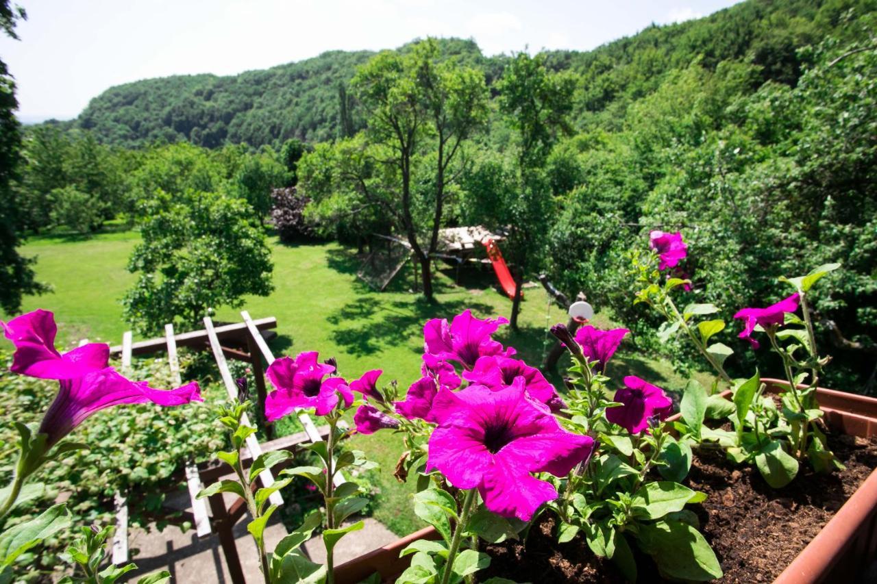 Na Okic - A Private Forest Oasis Sveti Martin pod Okicem Buitenkant foto