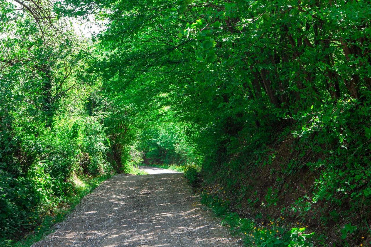 Na Okic - A Private Forest Oasis Sveti Martin pod Okicem Buitenkant foto