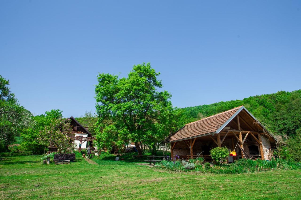 Na Okic - A Private Forest Oasis Sveti Martin pod Okicem Buitenkant foto