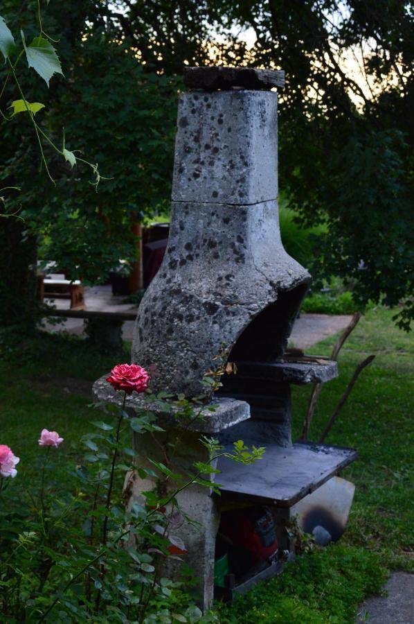 Na Okic - A Private Forest Oasis Sveti Martin pod Okicem Buitenkant foto